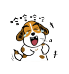 Crazy Beagle - A-Tsau（個別スタンプ：4）