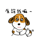 Crazy Beagle - A-Tsau（個別スタンプ：5）