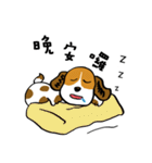 Crazy Beagle - A-Tsau（個別スタンプ：8）