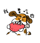 Crazy Beagle - A-Tsau（個別スタンプ：13）