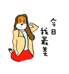 Crazy Beagle - A-Tsau（個別スタンプ：14）