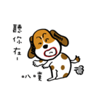 Crazy Beagle - A-Tsau（個別スタンプ：20）