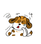 Crazy Beagle - A-Tsau（個別スタンプ：31）