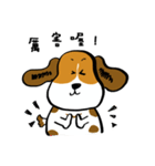 Crazy Beagle - A-Tsau（個別スタンプ：40）