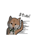 日本語を操る柴犬（個別スタンプ：3）