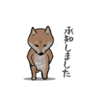 日本語を操る柴犬（個別スタンプ：4）
