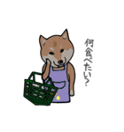 日本語を操る柴犬（個別スタンプ：5）