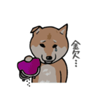 日本語を操る柴犬（個別スタンプ：6）