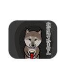 日本語を操る柴犬（個別スタンプ：19）