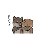 日本語を操る柴犬（個別スタンプ：29）