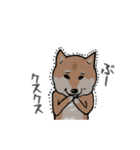 日本語を操る柴犬（個別スタンプ：31）