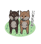 日本語を操る柴犬（個別スタンプ：34）