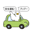 あひるの運転免許（個別スタンプ：30）