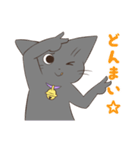 365日あにまるず ねこver（個別スタンプ：4）