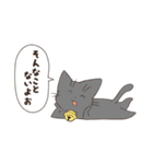 365日あにまるず ねこver（個別スタンプ：5）