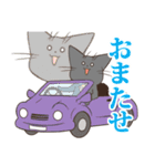 365日あにまるず ねこver（個別スタンプ：40）