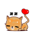 The big orange cat（個別スタンプ：6）