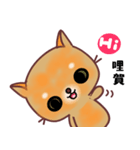 The big orange cat（個別スタンプ：7）