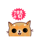 The big orange cat（個別スタンプ：12）