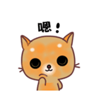 The big orange cat（個別スタンプ：18）