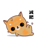 The big orange cat（個別スタンプ：19）