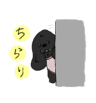 あめりかんこっかーたん。（個別スタンプ：24）