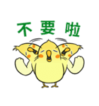 Sunshine the Cockatiel（個別スタンプ：23）