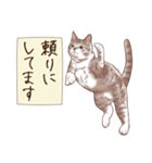 アクロバティックねこ 6（個別スタンプ：20）