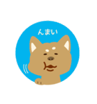 柴犬のゴロー（個別スタンプ：29）