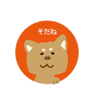 柴犬のゴロー（個別スタンプ：32）