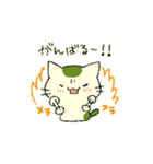 まっちゃねこ。（個別スタンプ：17）