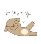●○トイプードル【よく使う言葉】○●（個別スタンプ：1）