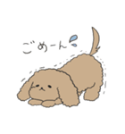 ●○トイプードル【よく使う言葉】○●（個別スタンプ：3）