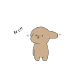 ●○トイプードル【よく使う言葉】○●（個別スタンプ：5）