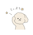 ●○トイプードル【よく使う言葉】○●（個別スタンプ：6）
