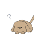●○トイプードル【よく使う言葉】○●（個別スタンプ：8）