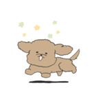 ●○トイプードル【よく使う言葉】○●（個別スタンプ：15）