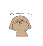 ●○トイプードル【よく使う言葉】○●（個別スタンプ：17）