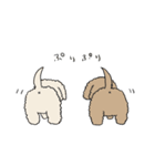 ●○トイプードル【よく使う言葉】○●（個別スタンプ：20）