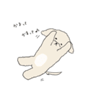 ●○トイプードル【よく使う言葉】○●（個別スタンプ：21）