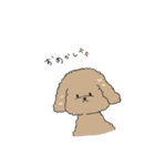 ●○トイプードル【よく使う言葉】○●（個別スタンプ：22）