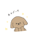 ●○トイプードル【よく使う言葉】○●（個別スタンプ：23）