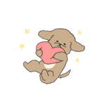 ●○トイプードル【よく使う言葉】○●（個別スタンプ：24）