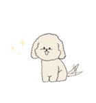 ●○トイプードル【よく使う言葉】○●（個別スタンプ：25）
