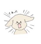 ●○トイプードル【よく使う言葉】○●（個別スタンプ：26）