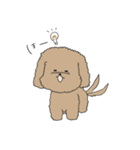 ●○トイプードル【よく使う言葉】○●（個別スタンプ：28）