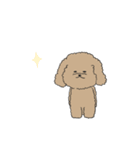 ●○トイプードル【よく使う言葉】○●（個別スタンプ：29）