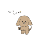 ●○トイプードル【よく使う言葉】○●（個別スタンプ：30）