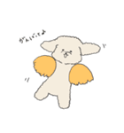 ●○トイプードル【よく使う言葉】○●（個別スタンプ：31）