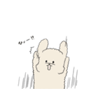●○トイプードル【よく使う言葉】○●（個別スタンプ：33）